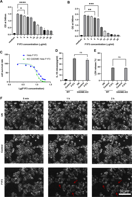 Caerin 1.1/1.9 interfere KHDRBS1-DDX5 regulatory axis to induce IL-18 mediated pyroptosis in a HeLa cell tumour model