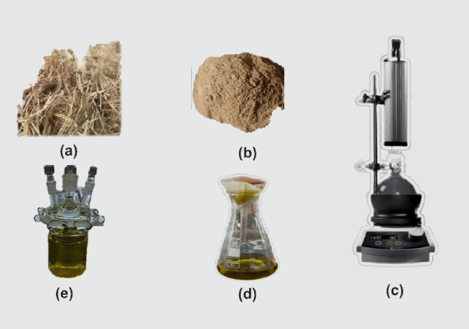Thermodynamic, electrochemical and surface characterization of copper corrosion inhibition in acidic solution using rice straw extract