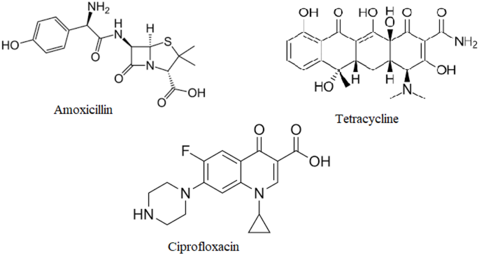 The role of microplastics as vectors of antibiotic contaminants via a molecular simulation approach