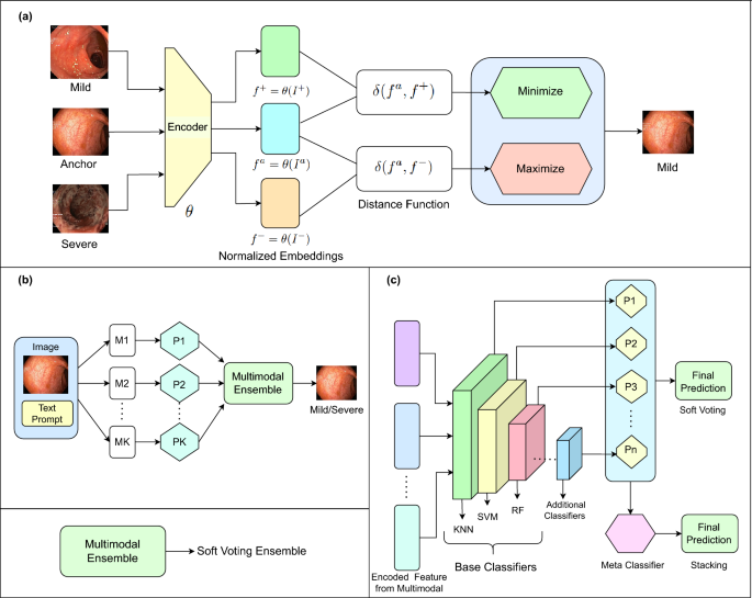 A triple pronged approach for ulcerative colitis severity classification using multimodal, meta, and transformer based learning