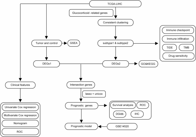 The role of glucocorticoids in hepatocellular carcinoma through integrated bioinformatics analysis and experimental validation
