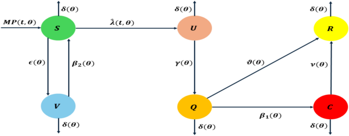 Modeling COVID-19 transmission: effects of age structure and vaccination