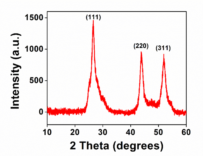 Photocatalytic oxidation of tyrosine using colloidal CdS particles under visible light irradiation