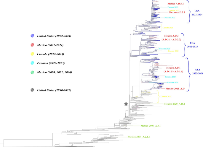 Molecular characterization of human respiratory syncytial virus in Mexico (season 2023–2024) through whole-genome sequencing