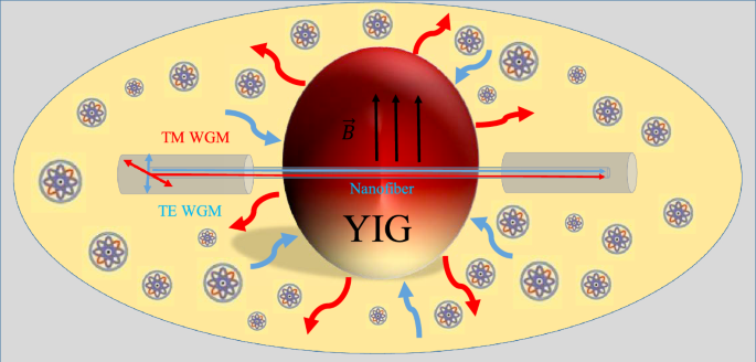 Generation of nonclassical optomagnonic states under the influences of Stokes scattering process and thermal noise