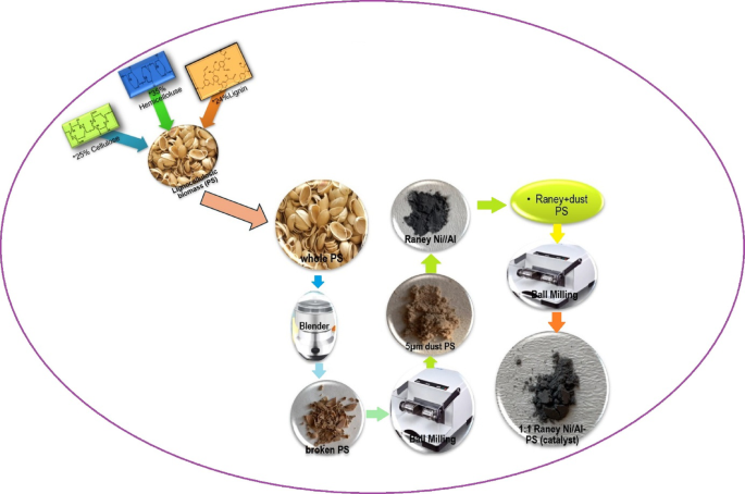 Lignocellulosic biomass based catalysis for hydrogen generation effect of pistachio shells and Raney nickel in NaBH4 hydrolysis