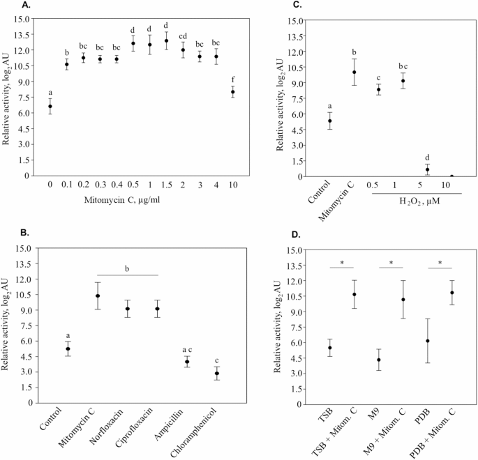 Stress-driven temporal production of phage tail-like particles (tailocins) in Dickeya dadantii strain 3937