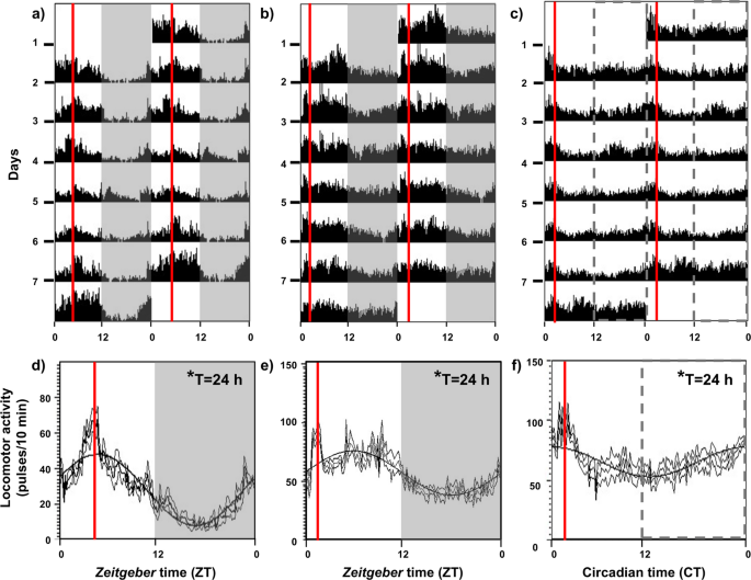 Food reward entrainment increases mealtime anxiety in goldfish via a ghrelin-dependent mechanism