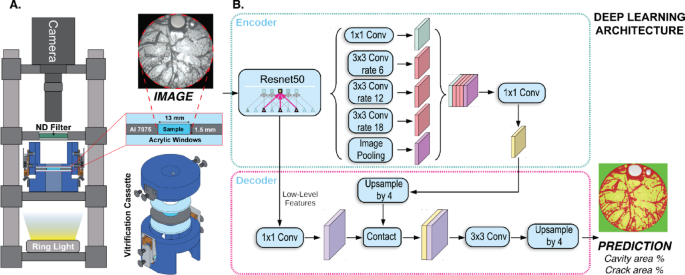 Higher glass transition temperatures reduce thermal stress cracking in aqueous solutions relevant to cryopreservation
