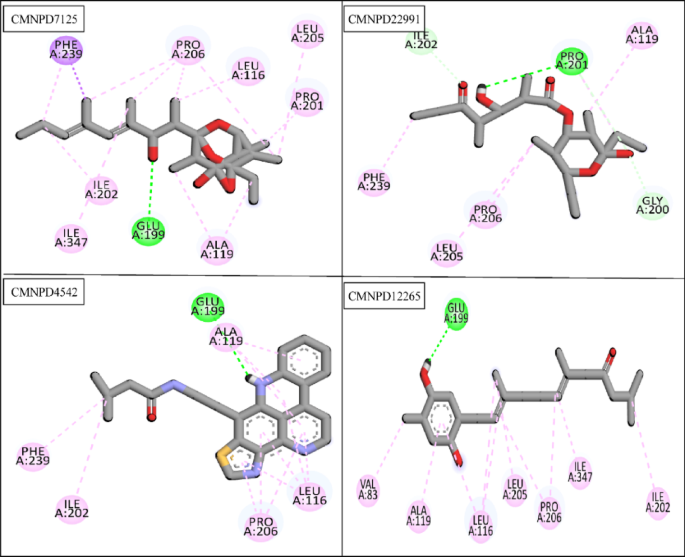 A computational approach to mycolic acid biosynthesis disruption in mycobacterium tuberculosis via molluscan metabolites as KasA inhibitors