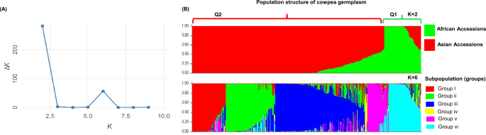 Genetic diversity and structure of Asian cowpea germplasm