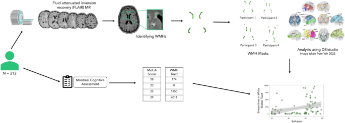 Damage to white matter networks resulting from small vessel disease and the effects on cognitive function