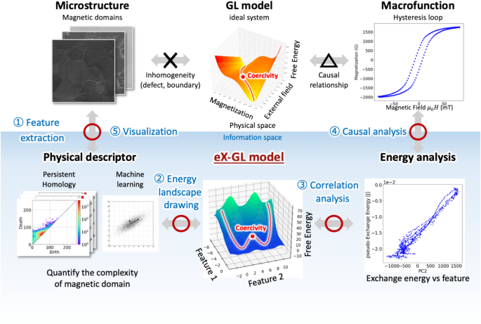 Automated identification of the origin of energy loss in nonoriented electrical steel by feature extended Ginzburg–Landau free energy framework