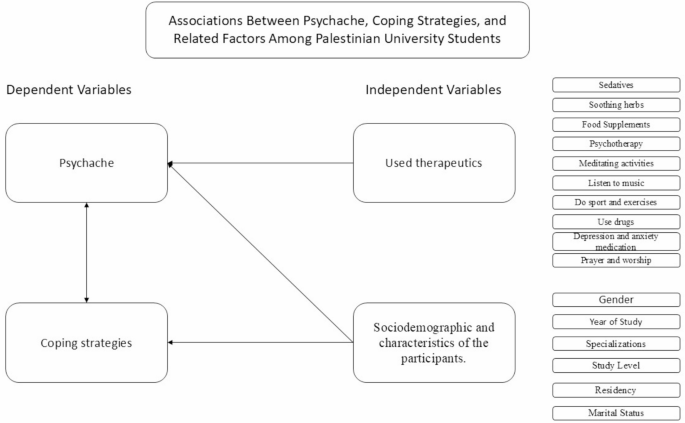 A cross-sectional study of psychache and coping strategies and therapeutic approaches among Palestinian university students during the Gaza Israeli war