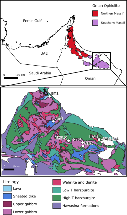 Bio-mediated CN cycling in serpentinites and the origin of life