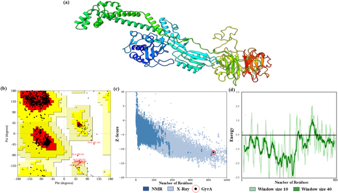 Exploring the potential role of GyrA inhibiting quinoline analog: an in silico study