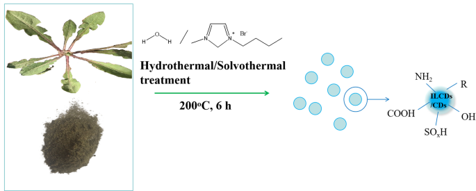 Ionic liquid-assisted biomass-derived N, S-doped carbon dots with enhanced corrosion inhibition