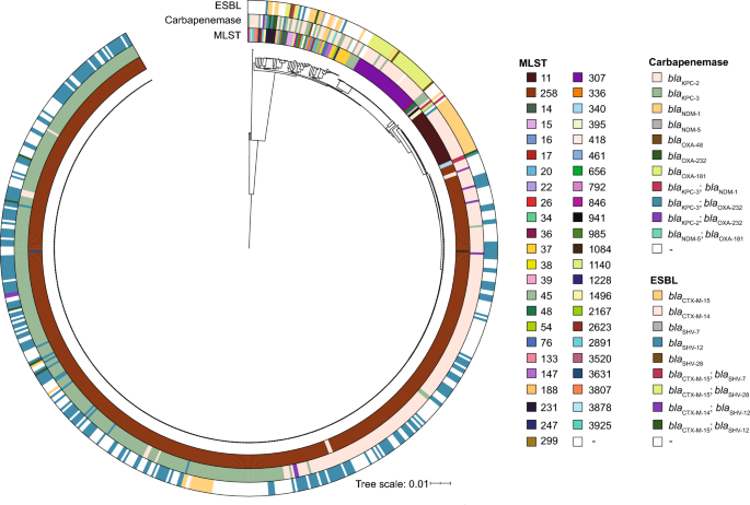 A network analysis of carbapenem-resistant Klebsiella pneumoniae among healthcare facilities