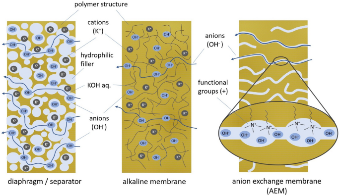 Evaluation of complex multi-physics phenomena at gas diffusion electrodes during high-pressure water electrolysis with AEMs