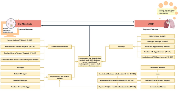 Genetic prediction of immune cells, inflammatory proteins, and metabolite-mediated association between gut microbiota and COPD: a Mendelian randomization study