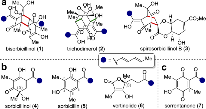 Total synthesis of a sorrentanone ester library and evaluation of its antimicrobial potential