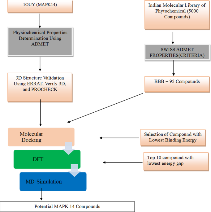 In-silico analysis of potential phytochemicals targeting mitogen activating protein kinase-14 (MAPK14) gene in colorectal cancer
