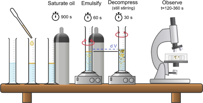 Bubbles nucleation in supersaturated emulsion drops