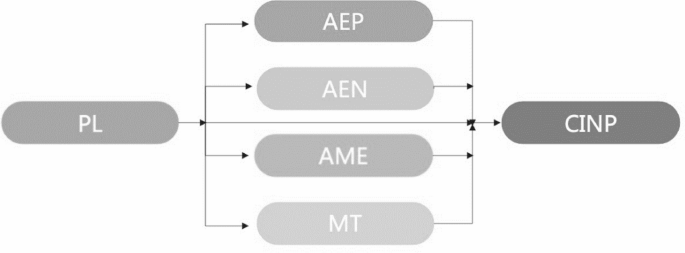 Structural relationships among physical literacy, mental toughness, athletic mental energy, achievement emotions, and COVID-19-induced negative psychological states in Chinese adolescents