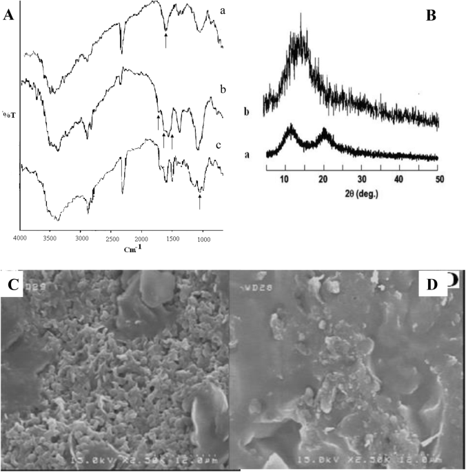 Synthesis and swelling studies of modified chitosan smart hydrogels containing alkyl sulfonate anionic pendant groups as microparticles for insulin release