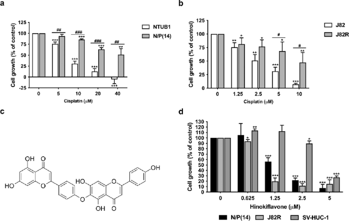 Hinokiflavone is a novel CK2 inhibitor promoting apoptosis and synergizing with chemotherapeutic agents in cisplatin resistant bladder cancer cells