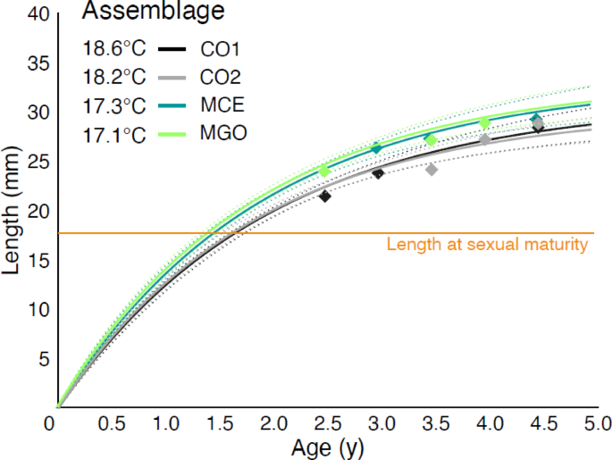 Chamelea gallina growth declined in the Northern Adriatic Sea during the Holocene Climate Optimum
