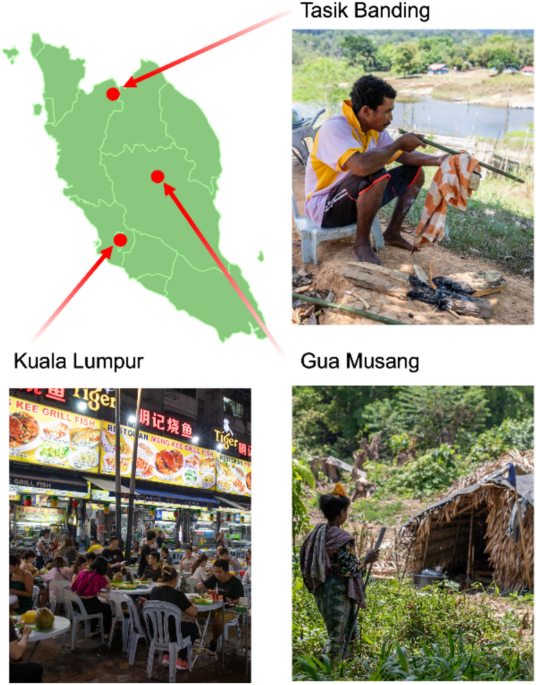 Gut microbiota profiles of peninsular Malaysian populations are associated with urbanization and lifestyle