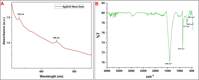 Ag/ZnO nanodots from Artemisia austroyunnanensis as antibacterial and anticancer agents against human neuroblastoma cells