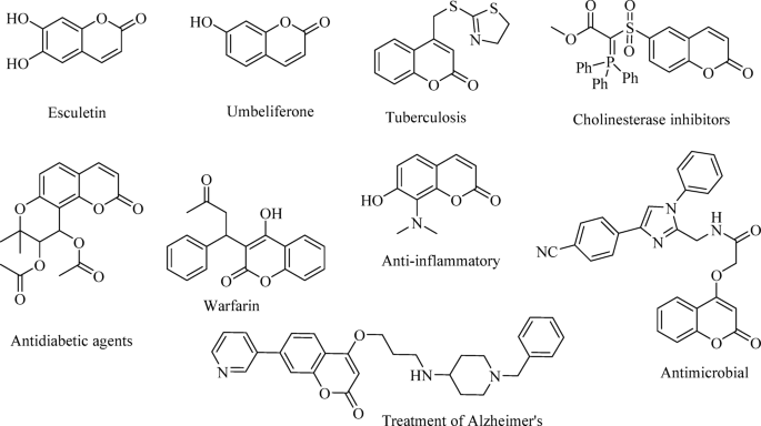 A novel acidic deep eutectic solvent for sustainable and efficient coumarin synthesis