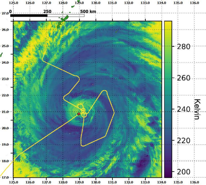 3D reconstruction of typhoon Trami 2018 eye and eyewall clouds from airborne imaging