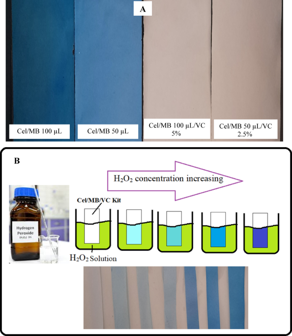 Preparation and characterization of biodegradable cellulose nanofiber films modified with methylene blue and vitamin C for detecting oxidants