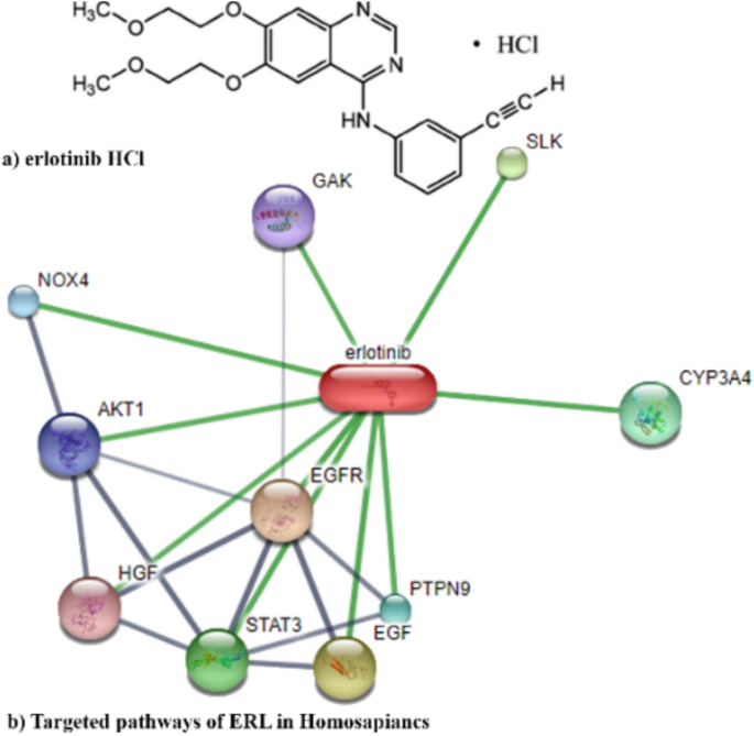 Physicochemical characterization and biological evaluation of amorphous solid dispersions of an anticancerous drug: Erlotinib HCl