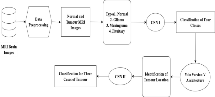 Accurate and real-time brain tumour detection and classification using optimized YOLOv5 architecture