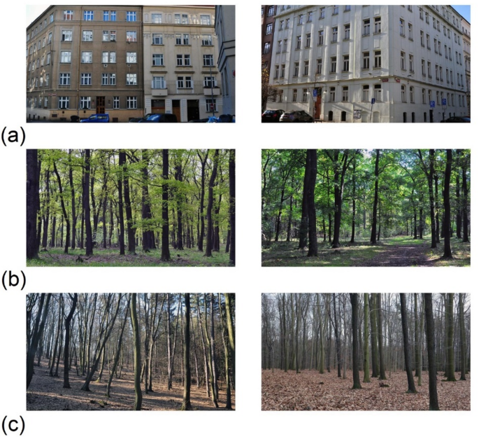 Perceptual fluency and eye movements when viewing urban and natural scenes