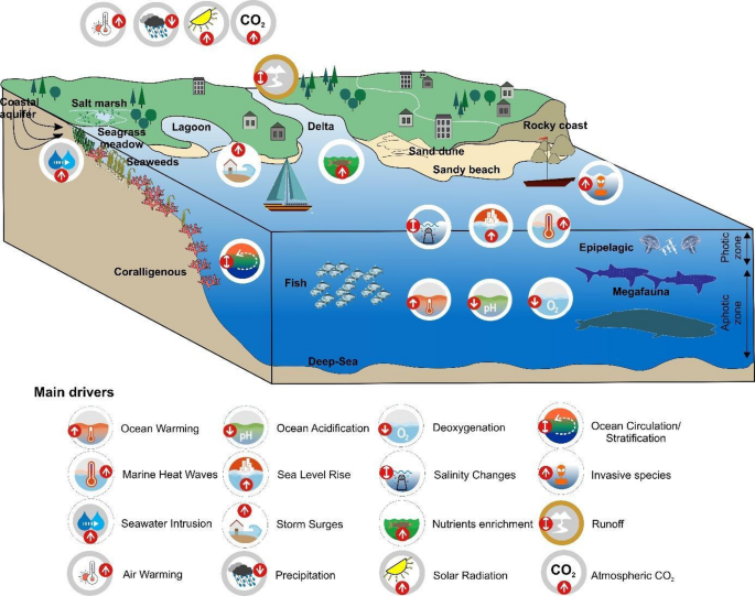 Climate change risks on key open marine and coastal mediterranean ecosystems