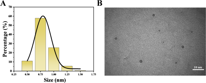 Enhancing fresh-cut spinach preservation with carbon quantum dot-based composite coatings