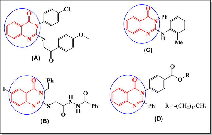 Synthesis, comprehensive in silico studies, and cytotoxicity evaluation of novel quinazolinone derivatives as potential anticancer agents