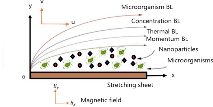 Pollutant dispersion and nanoparticle dynamics in magnetized bioconvection for sustainable water treatment