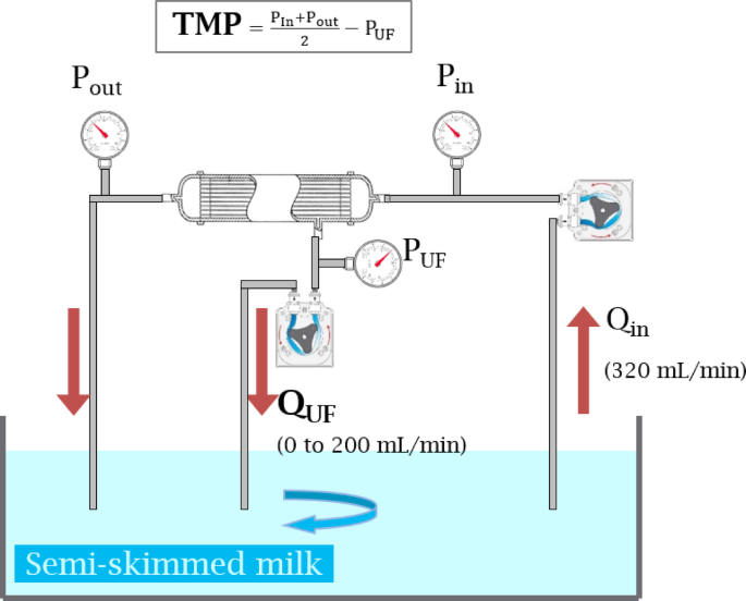 In vitro evaluation of critical ultrafiltration fluxes and transmembrane pressure in a high flux dialyzer