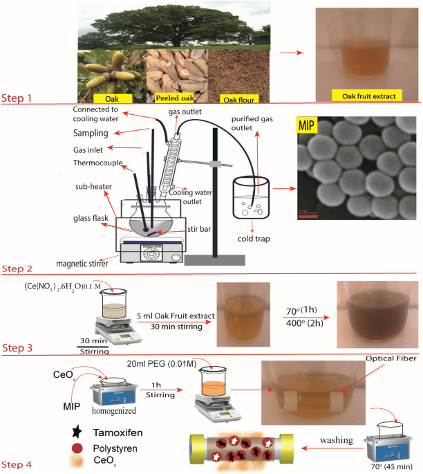 Optical fiber sensor based on Lossy-mode resonance for tamoxifen detection and sensing applications