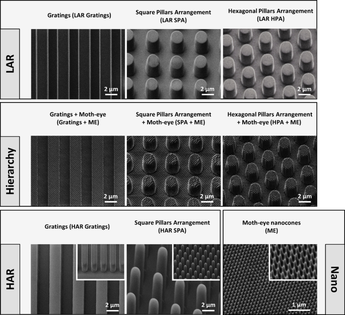 Hierarchical micro-nano topographies to control Bacteria and mesenchymal stem cells biological responses