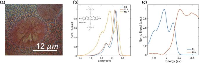 Microstructure determines crystallinity-driven singlet fission efficiency in diF-TES-ADT