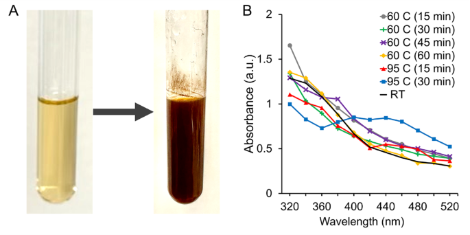 Green synthesis of silver nanoparticles using Magnolia alba leaf extracts and evaluating their antimicrobial, anticancer, antioxidant, and photocatalytic properties