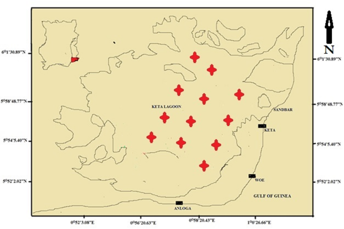 Cancer risk from heavy metal contamination in fish and implications for public health