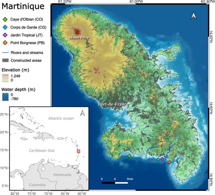 Emerging skeletal growth responses of Siderastrea siderea corals to multidecadal anthropogenic impacts in Martinique, Caribbean Sea